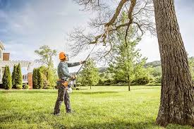 Best Soil Testing and Treatment  in Rlsbad, CA