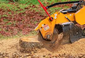 Best Weed Control  in Rlsbad, CA