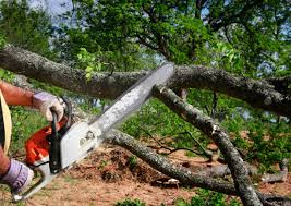 Soil Testing and Treatment in Carlsbad, CA